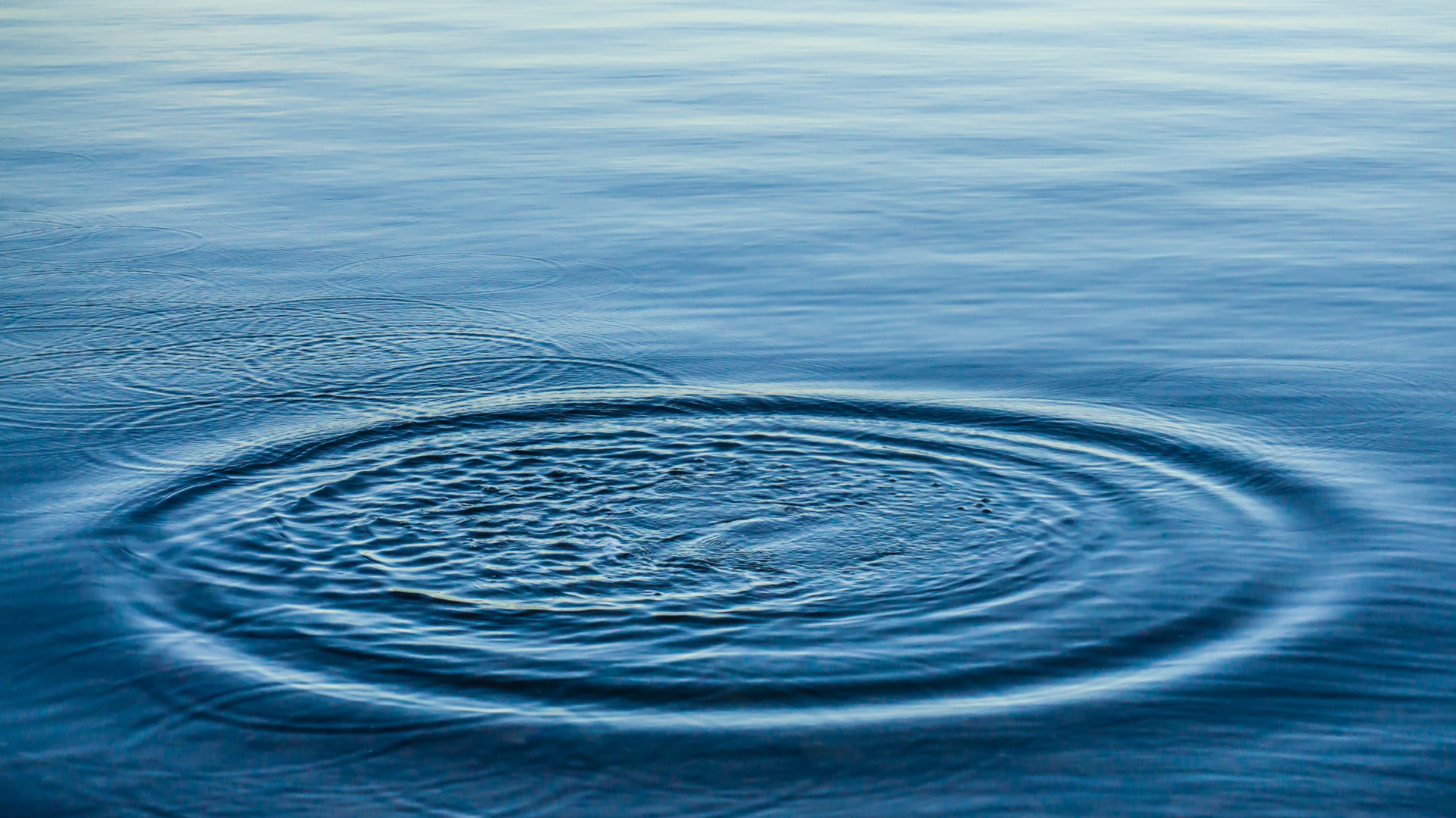 The Ripple Effect